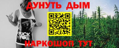 дурь Сланцы