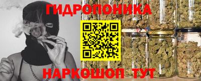 дурь Сланцы
