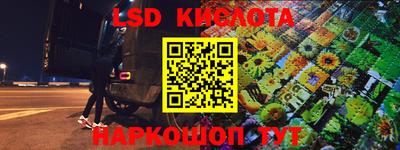 дурь Сланцы
