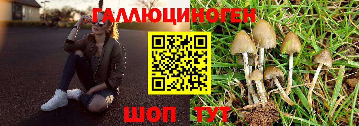 Ртищево  Псилоцибиновые грибы прущие грибы  Вход с VPN 